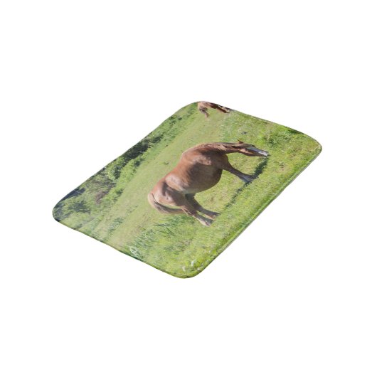 Trait Breton Pferd Badematte (Schrägansicht)