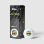 Trait Breton Pferd in der Bretagne Golfball (Verpackungen)