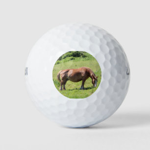 Trait Breton Pferd in der Bretagne Golfball