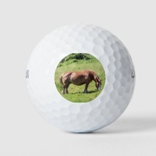 Trait Breton Pferd in der Bretagne Golfball (Vorderseite)
