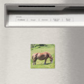 Trait Breton Pferd in der Bretagne Magnet (In Situ (Geschirrspüler))