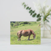 Trait Breton Pferd Postkarte (Stehend Vorderseite)
