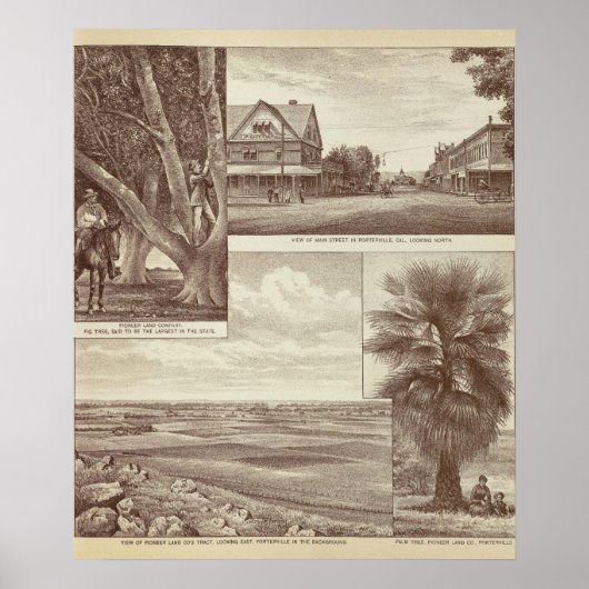 Trakt Pioneer Land Co, Porterville Poster (Vorne)