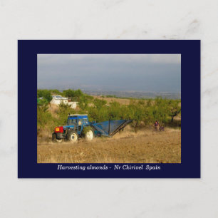 Traktor Ernte Mandeln ländliche Spanien Postkarte