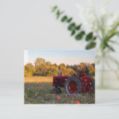 Traktor im Kürbisfeld Postkarte (Stehend Vorderseite)