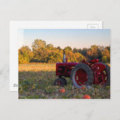 Traktor im Kürbisfeld Postkarte (Vorne/Hinten)