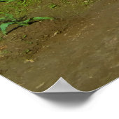 Traktor in den Tulip-Feldern Poster (Ecke)