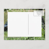 Traktor in einem Feld Postkarte (Rückseite)