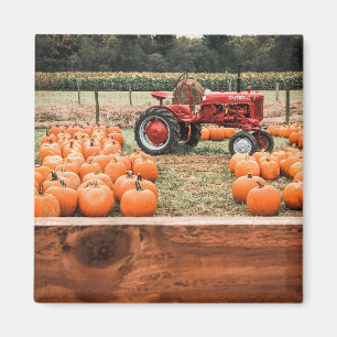 Traktor und Pumpkins Magnet