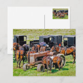 Traktor wie Postkarte (Vorne/Hinten)