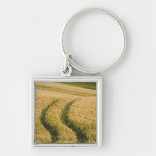 Traktoren durch Weizen, Toskana, Italien Schlüsselanhänger