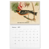 Trällerer Johns Audubon 2 Vögel Amerika-Kalender Kalender (Feb 2027)
