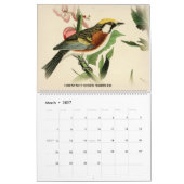 Trällerer Johns Audubon 2 Vögel Amerika-Kalender Kalender (Mär 2027)