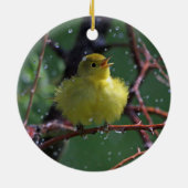 Trällerer Keramikornament (Hinten)