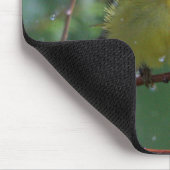 Trällerer Mousepad (Ecke)