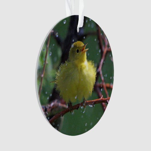 Trällerer Ornament (Vorderseite)