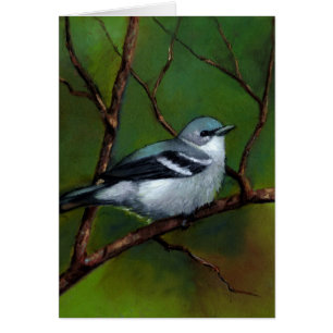 Trällerer: Tier-Kunst im Öl-Pastell: Vogel