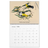 Trällerer-Vögel Johns Audubon von Amerika-Kalender Kalender (Jan 2026)