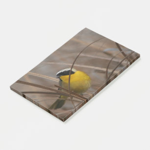 Trällerer-Vogel-Tier-Fotografie-Post-Itanmerkunge Post-it Klebezettel