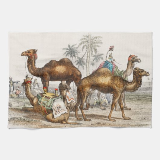 Trampeltier, Dromedar oder Arabisches Kamel Geschirrtuch (Horizontal)