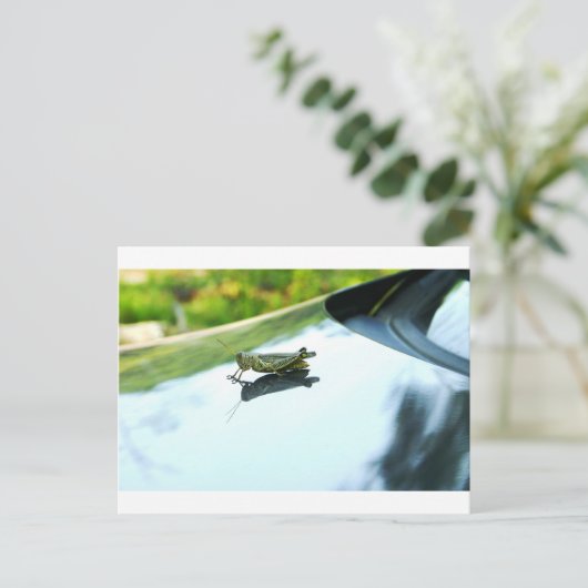 Tramper Postkarte (Stehend Vorderseite)