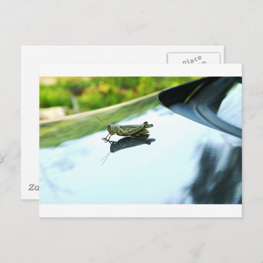 Tramper Postkarte (Vorne/Hinten)