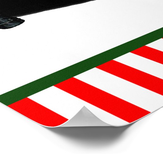 Trampoline Jumping Santa Claus Poster (Ecke)