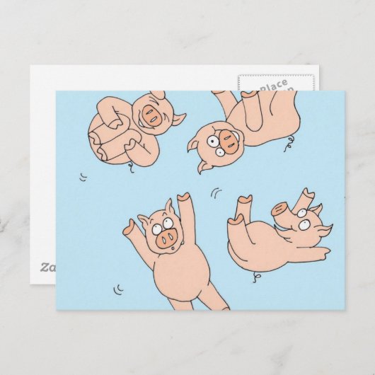 Trampoline Pigs Postkarte (Vorne/Hinten)