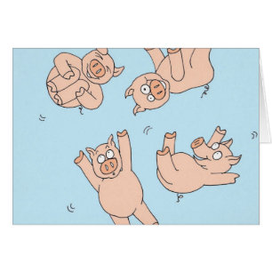 Trampoline-Schweine