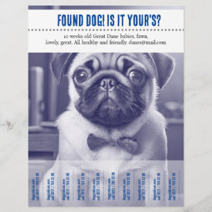 Träne Off-Flyer Flyer