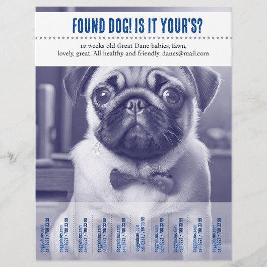 Träne Off-Flyer Flyer (Vorne)