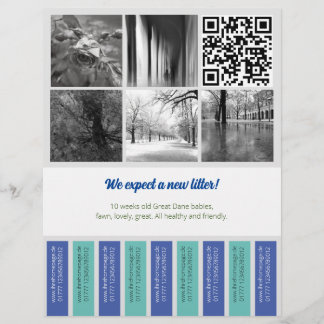 Träne Off Flyer Welpe mit blauem Grün