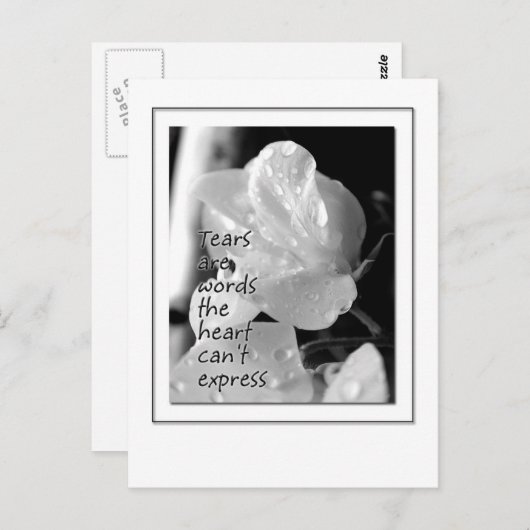 Tränen Postkarte (Vorne/Hinten)