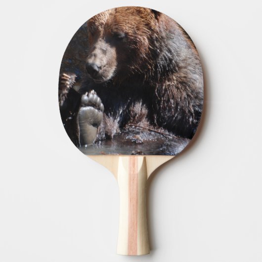 Tränkender Bär Tischtennis Schläger (Vorderseite)