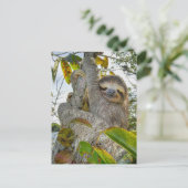 Tranquil Arboreal Grace Postkarte (Stehend Vorderseite)