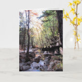 Tranquil Birthday Wish Karte (Gelbe Blume)