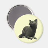 Tranquil Black Cat Magnet (Vorderseite/Rückseite)