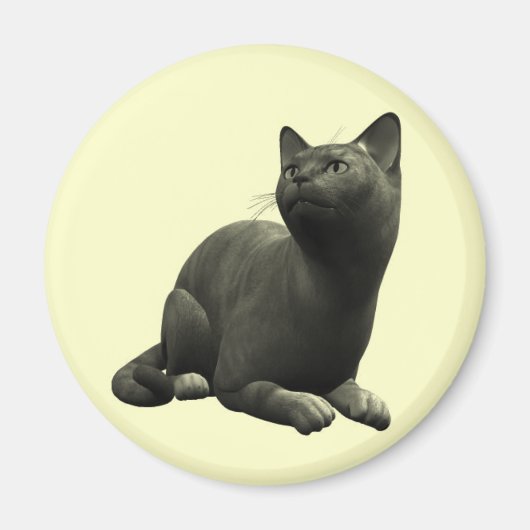 Tranquil Black Cat Magnet (Vorne)
