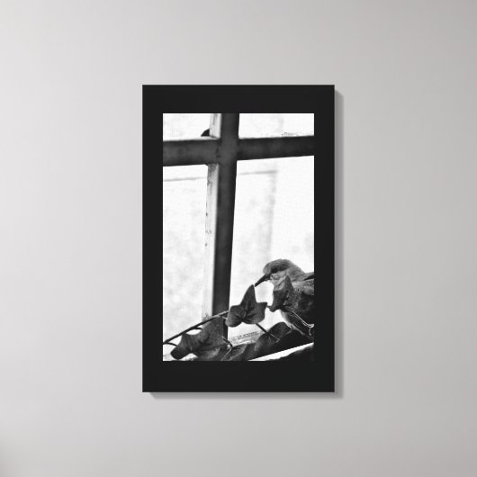 Tranquil Dove Leinwanddruck (Vorderseite)