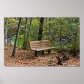 Tranquil Forest Bench in Autumn Poster (Vorne)