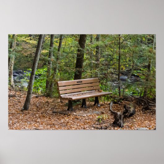 Tranquil Forest Bench in Autumn Poster (Vorne)