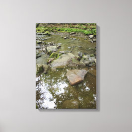 Tranquil Forest Canvas Print | Real Landscape Home Leinwanddruck