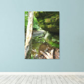 Tranquil Forest Canvas Print | Real Landscape Leinwanddruck (Insitu (Holzboden))