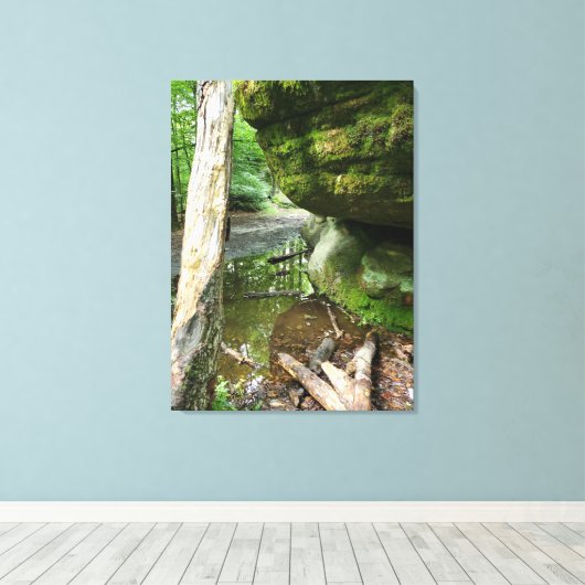 Tranquil Forest Canvas Print | Real Landscape Leinwanddruck (Insitu (Holzboden))