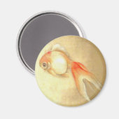 Tranquil Japanese Goldfish Magnet (Vorderseite/Rückseite)