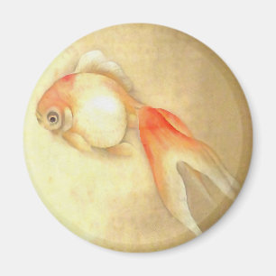 Tranquil Japanese Goldfish Magnet