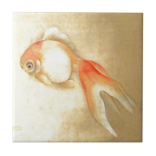 Tranquil Japanischer Goldfish Fliese (Vorderseite)