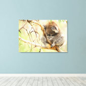 TRANQUIL KOALA 24x36 Leinwanddruck (Insitu (Holzboden))
