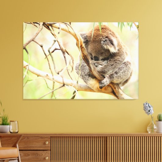 TRANQUIL KOALA 32x48 Leinwanddruck (Insitu (Wohnzimmer))
