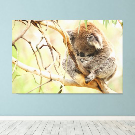 TRANQUIL KOALA 32x48 Leinwanddruck (Insitu (Holzboden))